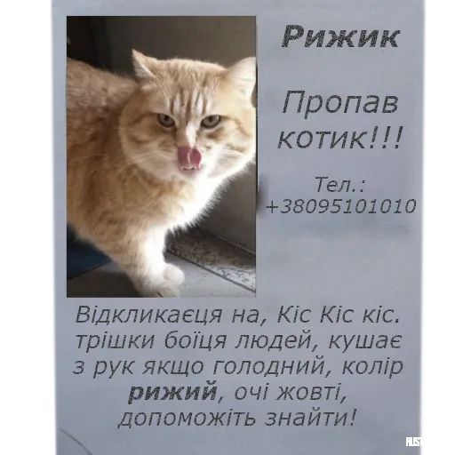 Rust Rides: Оголошення Рижука